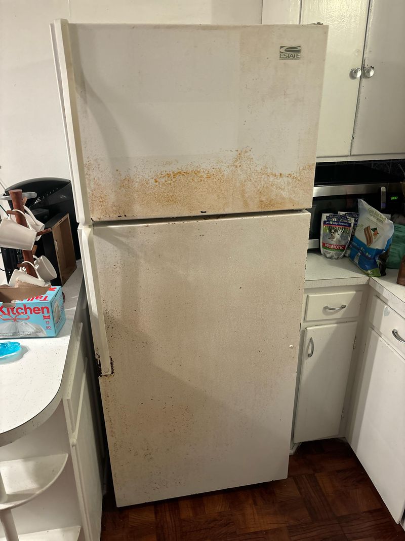 Old, Rusty, or Stained Refrigerators