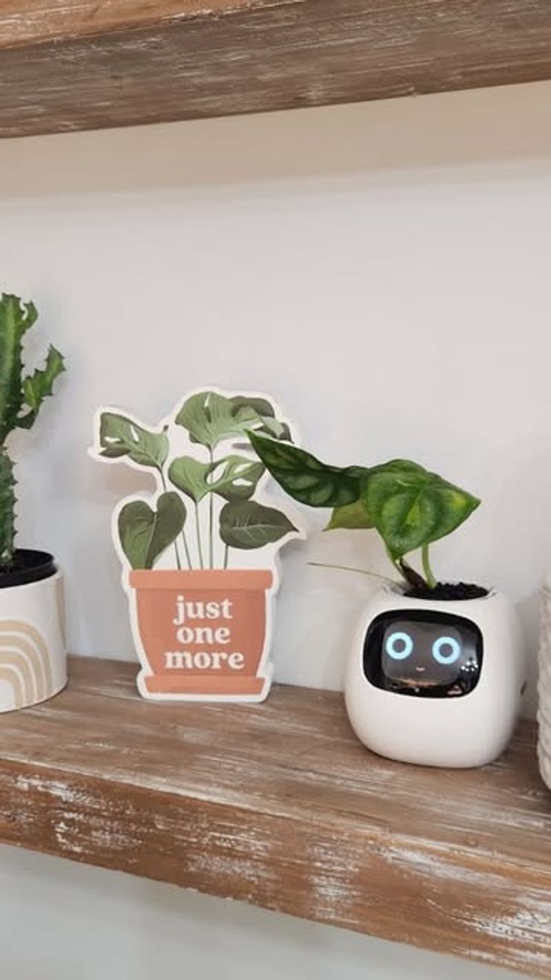 Smart Plant Pots