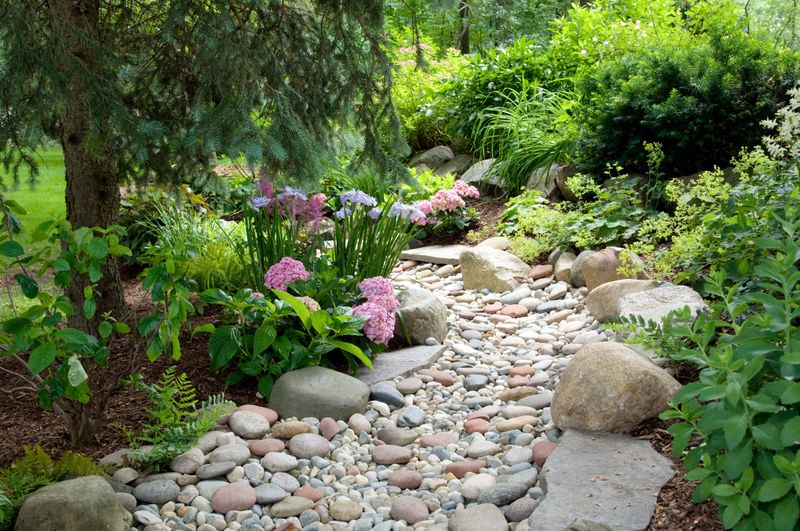 Dry Creek Bed Feature