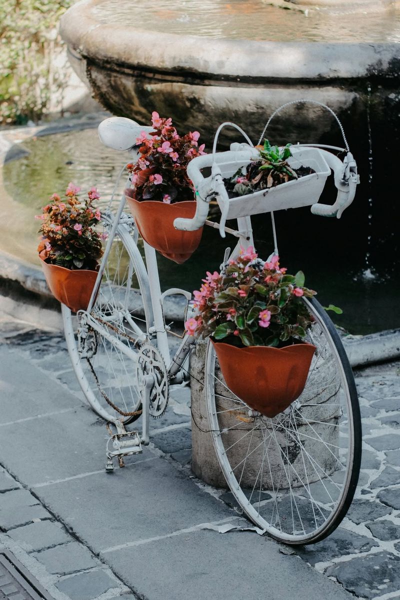 Vintage Bicycle Planters