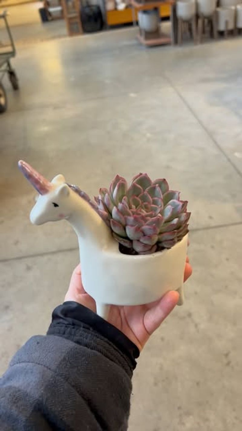 Unicorn Planters