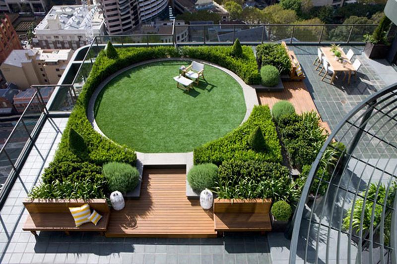 Privacy Screens Using Tall Plants or Trellises
