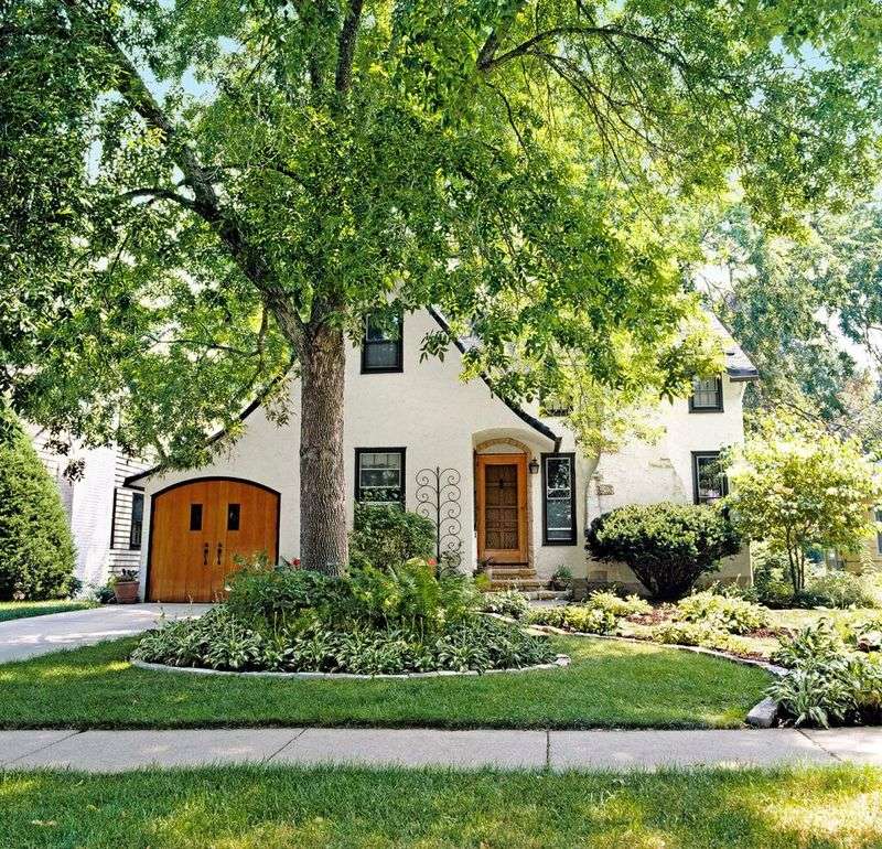 Strategic Shade Trees That Slash Energy Bills