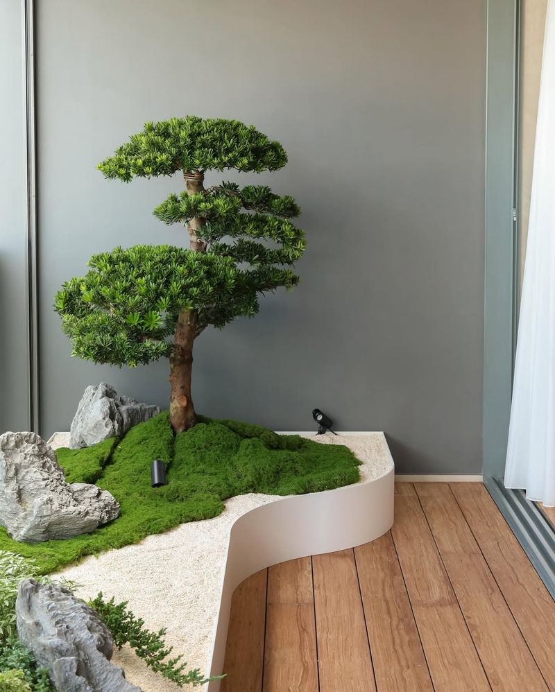 Indoor Zen Gardens