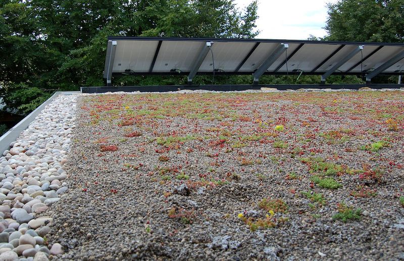 Making The Green Roof Inaccessible To Wildlife By Placing Barriers