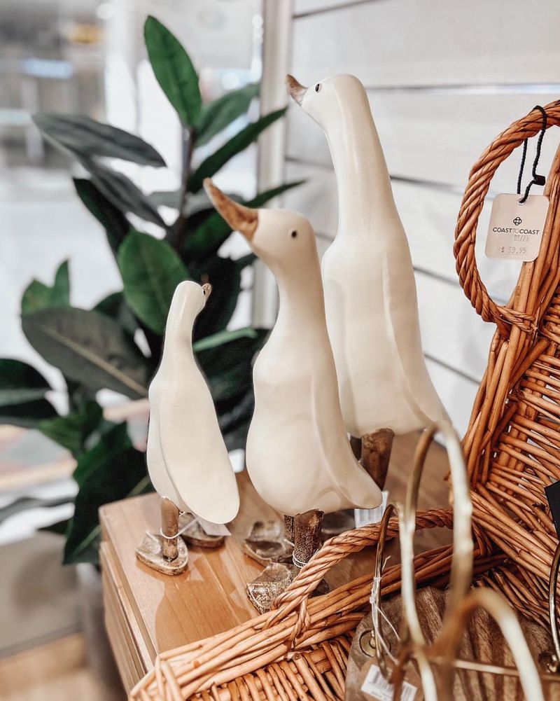 Duck Motifs: The Quacking Decor