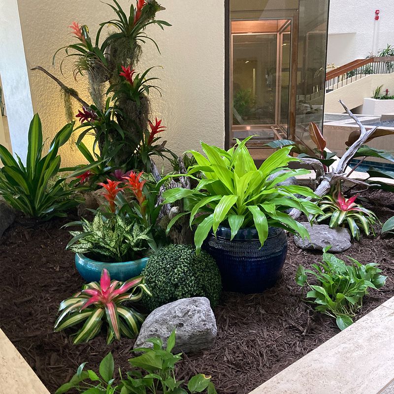 Bountiful Biodiversity