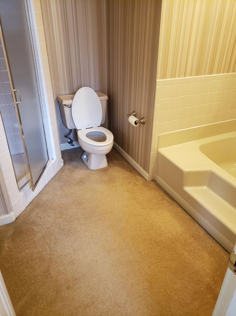 Bathroom Carpet