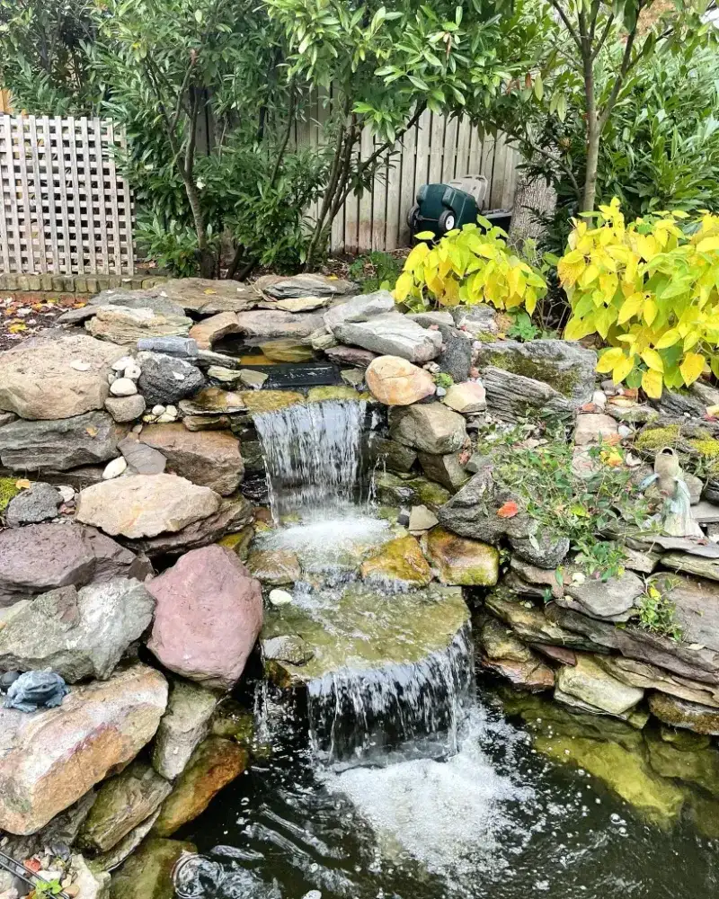 High-Maintenance Water Features