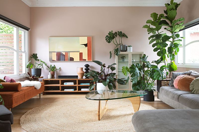 A Ridiculously Oversized Plant