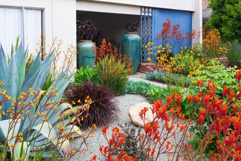 Mediterranean Gravel Garden