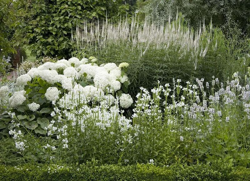 Moonlight Gardens With White Flowering Plants