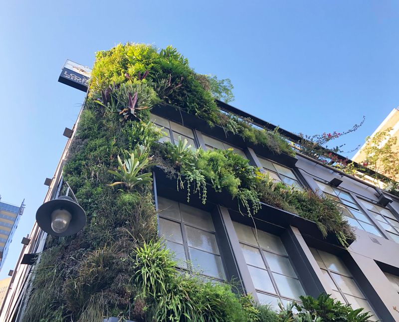 Vertical Gardens Against Walls