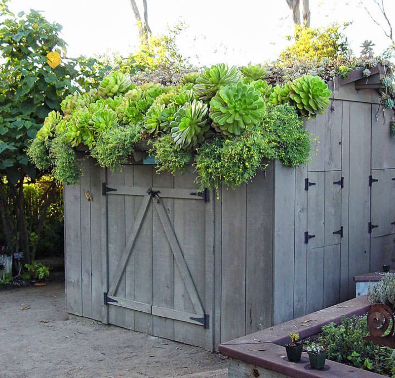 Seasonal Swaps With Winter-Proof Containers and Summer Blooms