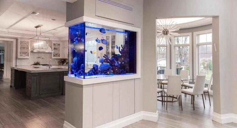 Built-In Aquariums