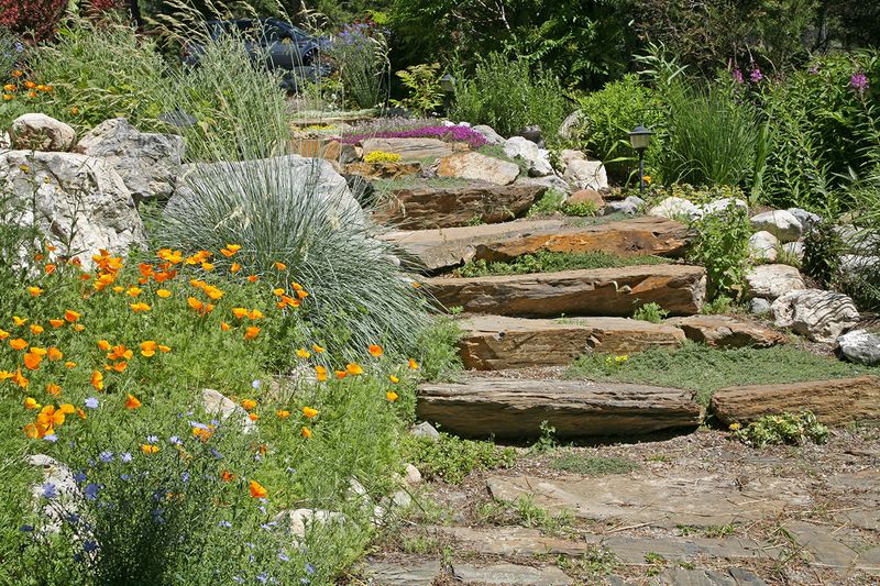Native Plant Landscaping