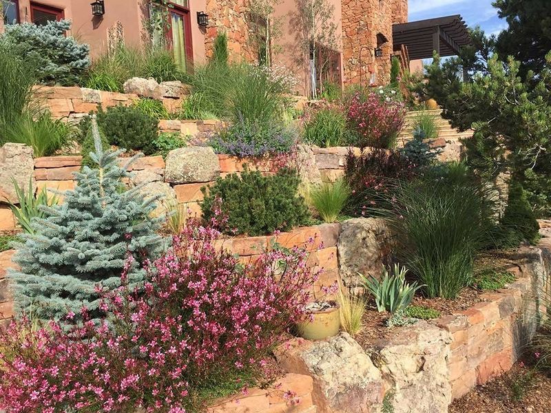 Terraced Rock Wall With Cascading Plants