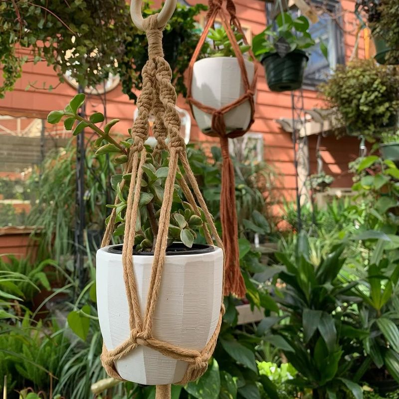 Macramé Plant Hangers