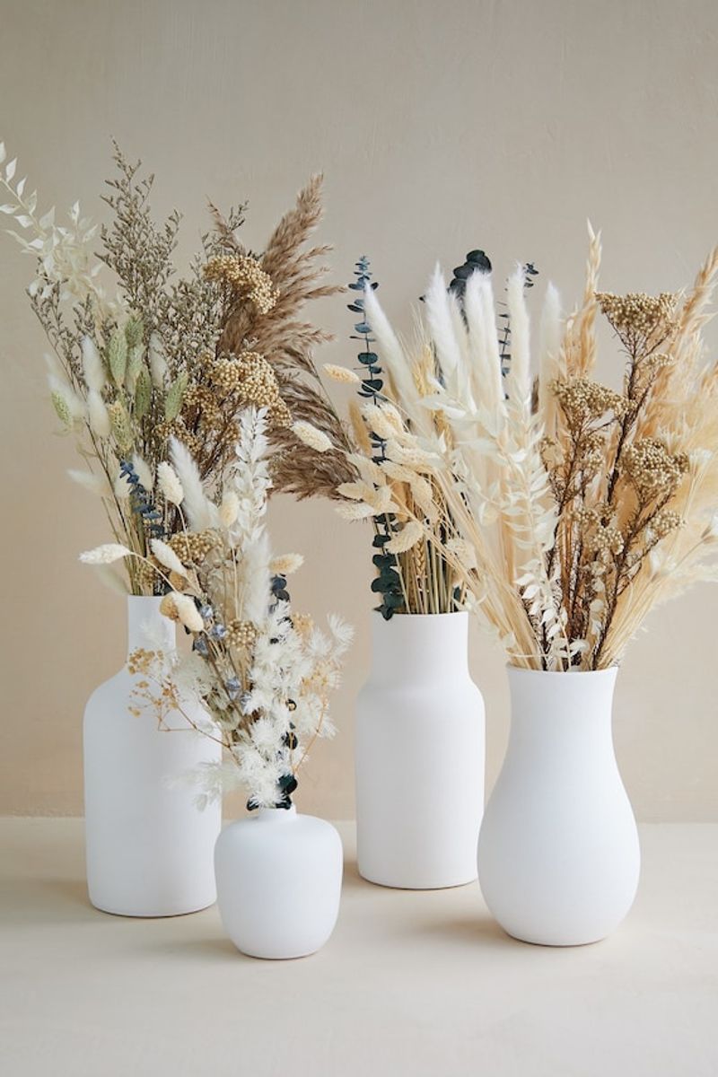 Decorative Dried Botanicals