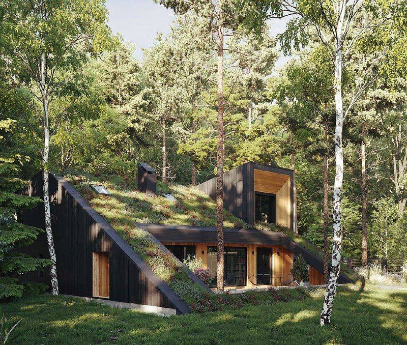 Eco-friendly Green Roof Cottage