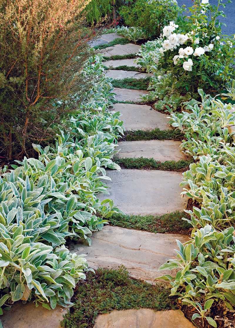 Stepping Stone Pathway