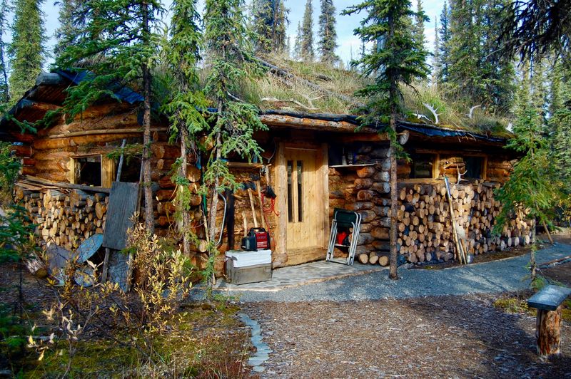 Alaskan Wilderness Thatch Cabin