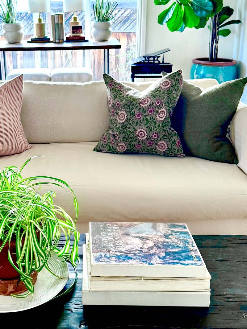 Too Many Throw Pillows