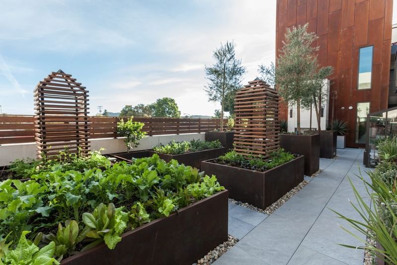 Edible Gardens With Herbs, Veggies, Dwarf Fruit Trees