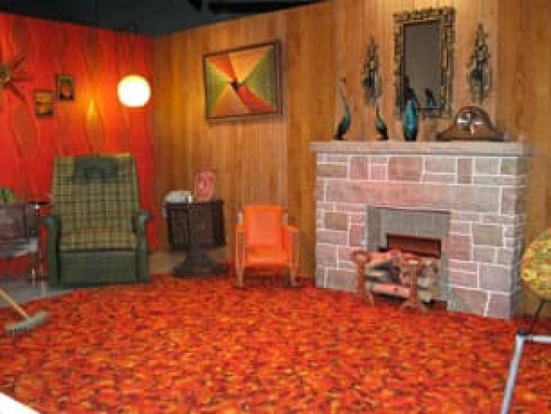 Shag Carpets: Soft and Funky
