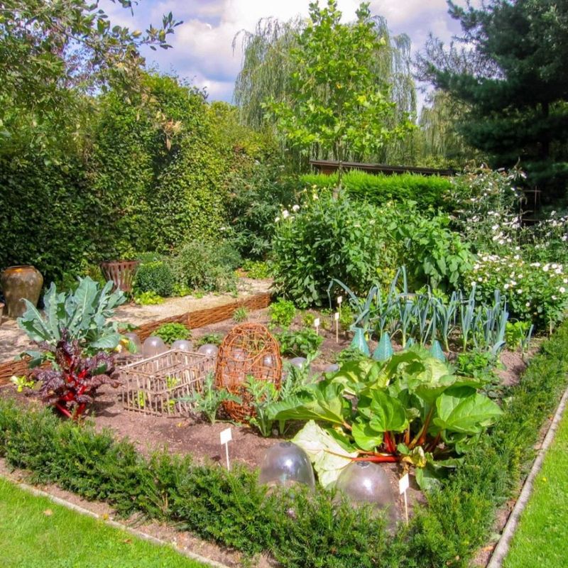 Edible Landscape Borders With Herbs And Berries