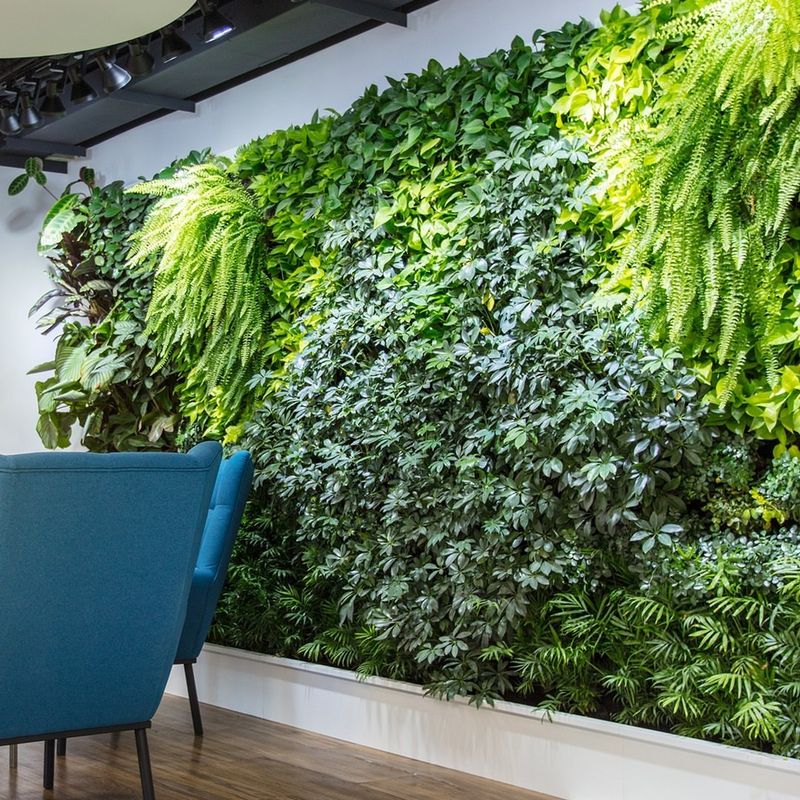 Living Walls