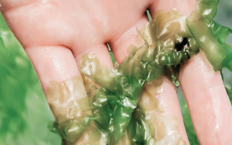 Algae-Based Fabrics