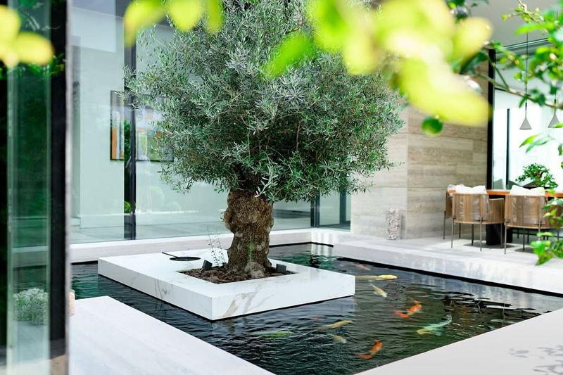 Calming Water Features