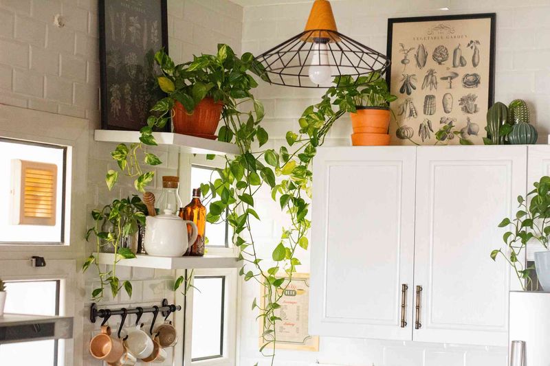Greenery As Decor