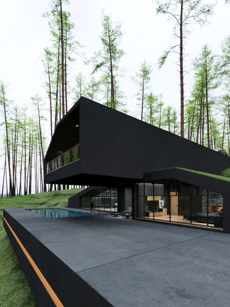 The Black House, USA