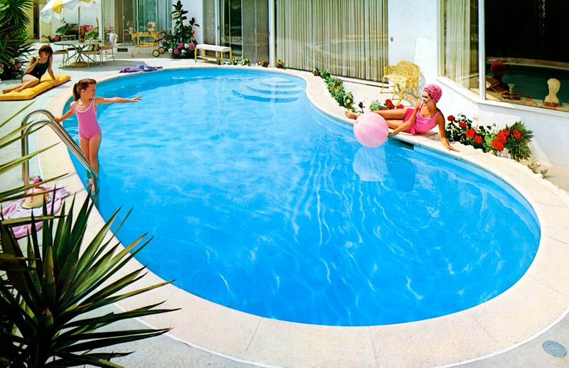 The Kidney-Shaped Swimming Pool Oasis