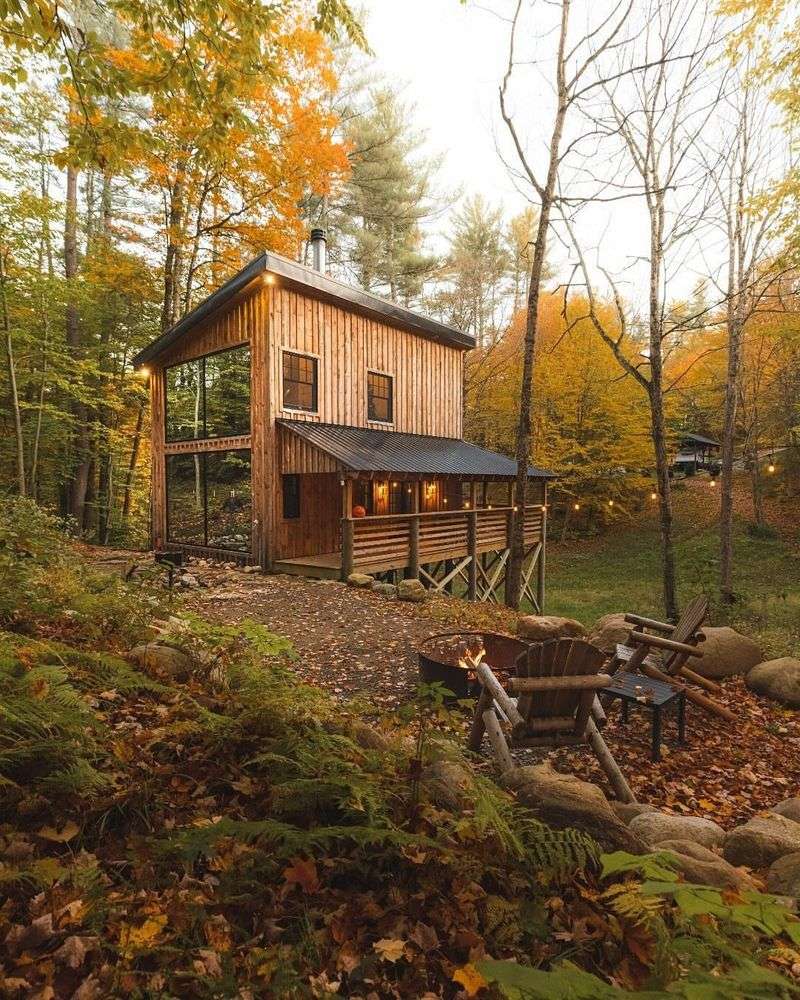 The Forest Retreat
