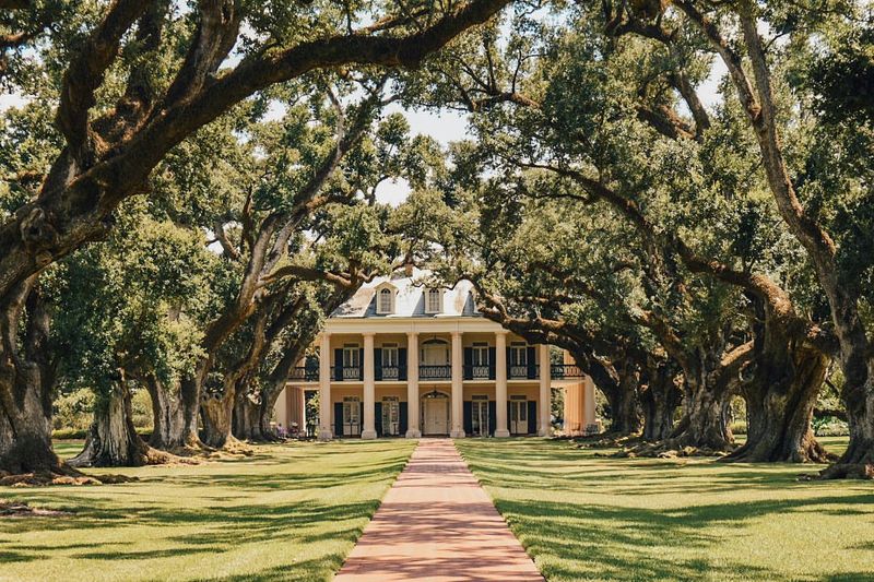 The Oak Alley Plantation