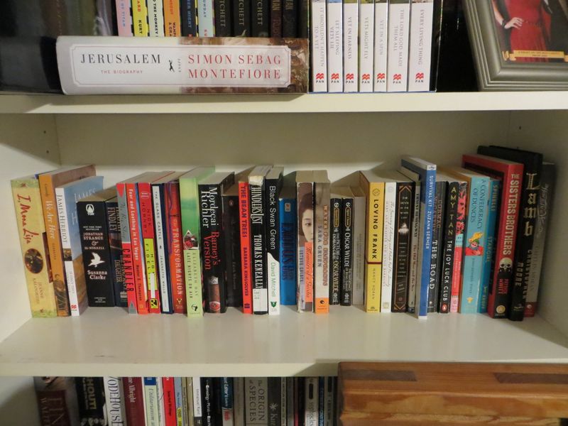 Old, Unread Books Gathering Dust on the Shelf