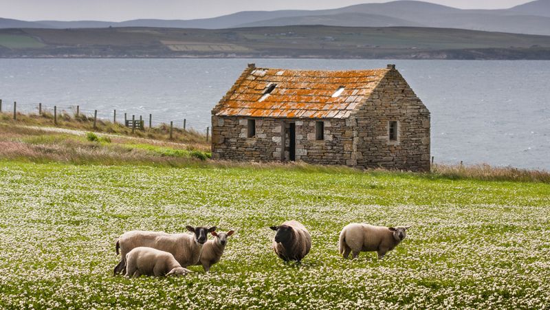 The Highland Croft