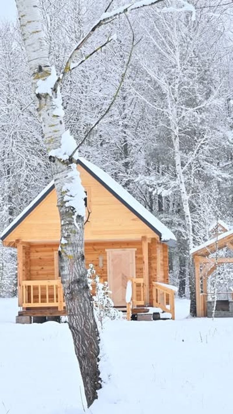 The Enchanted Cabin