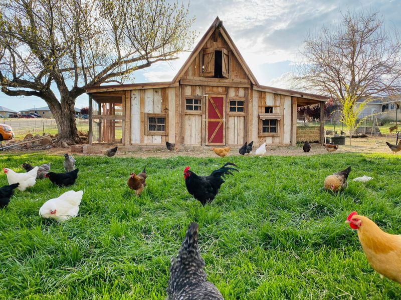 The Rustic Farmstead