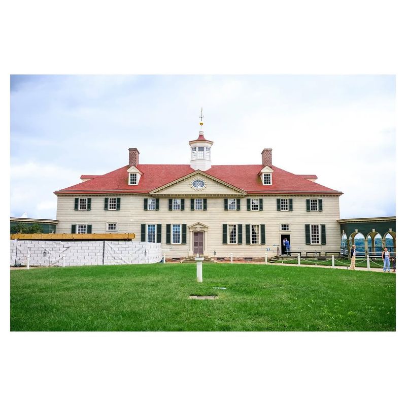 The Mount Vernon