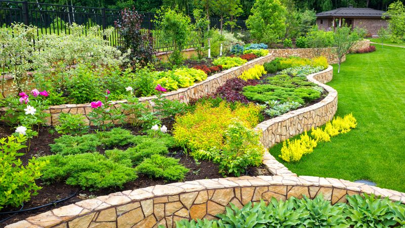 Overdoing Landscaping