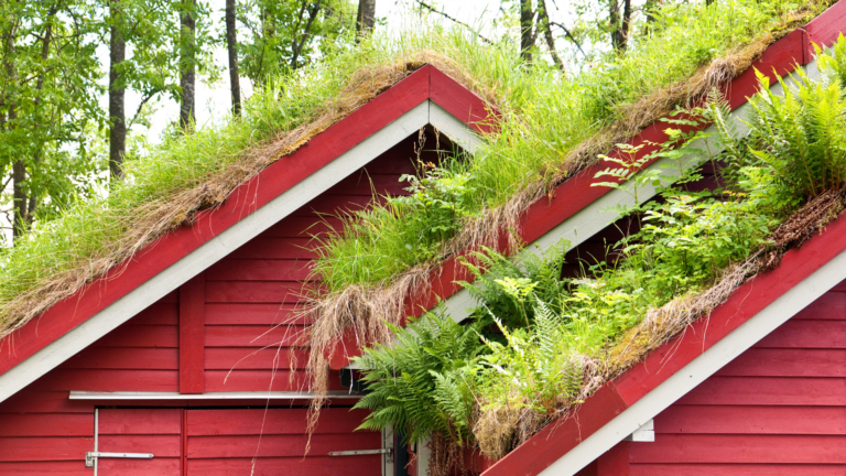 8 Ways To Make Your Home Welcoming To Wildlife With Green Roofs (Plus What To Avoid)