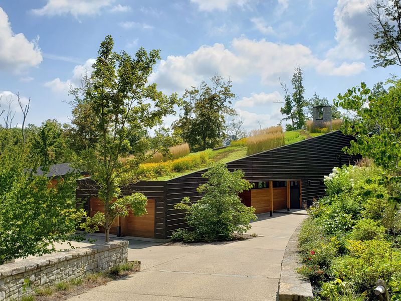 Allowing The Roof To Become Too Overgrown, Blocking Sunlight