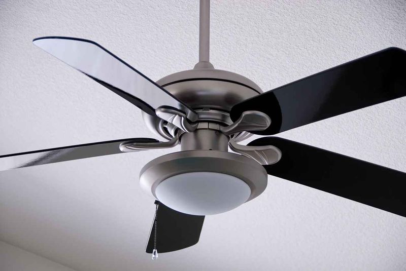 Ceiling Fans