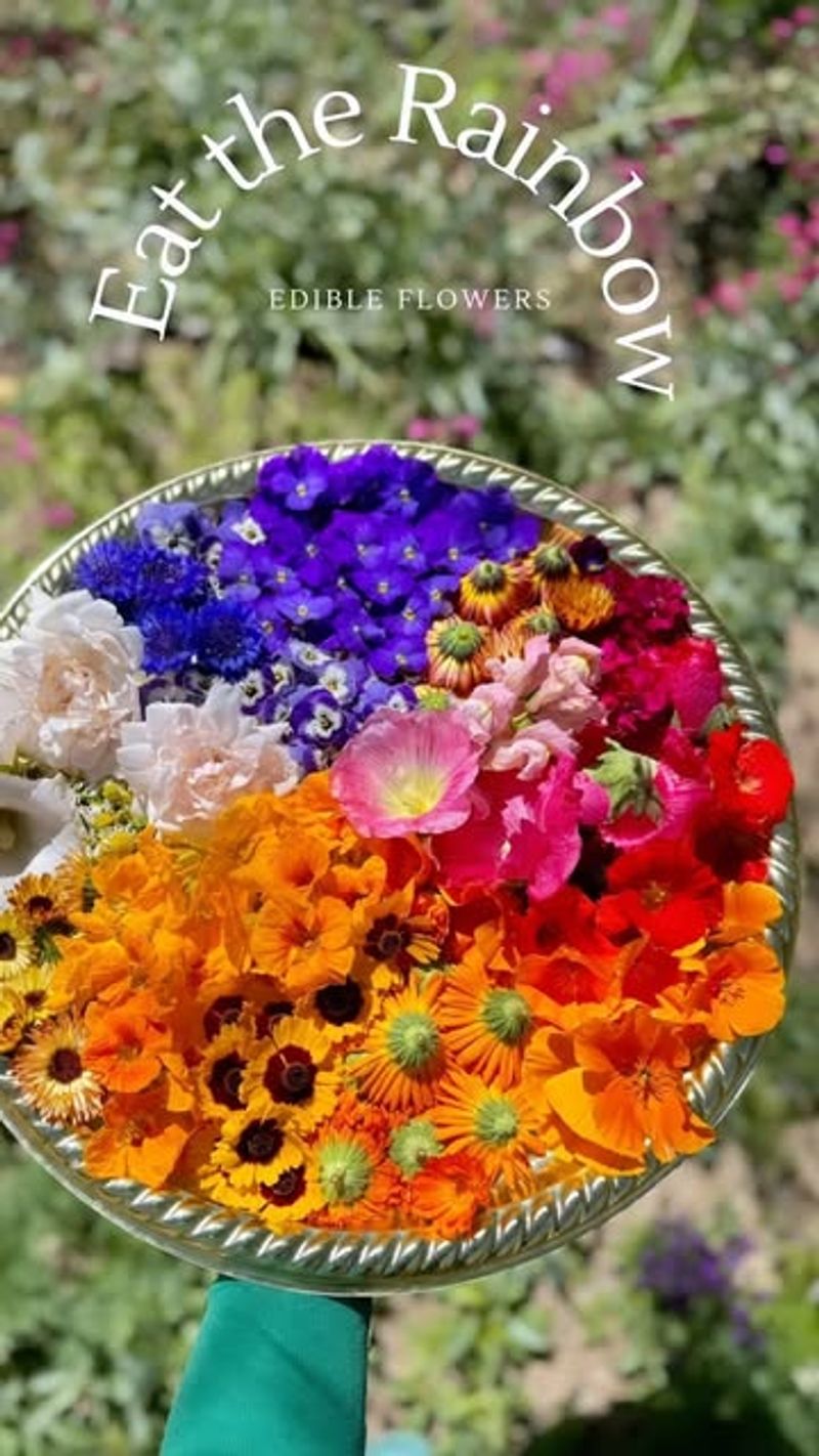 Edible Flower Arrangements