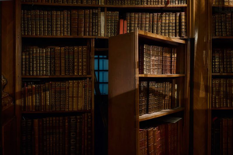 Floor-to-Ceiling Bookshelves 