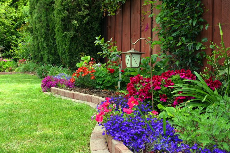 Colorful Flower Beds